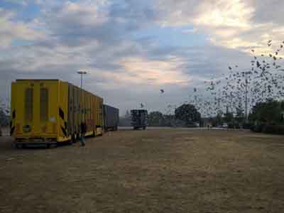 ����ʱ���ɿ����ھ���¯ �ھ����̫Ư��(ͼ)