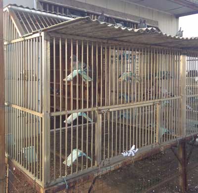 ¥�������� ���Ŷ����注��(ͼ)