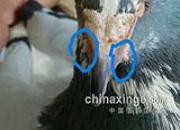 �ļ���붻 ����������