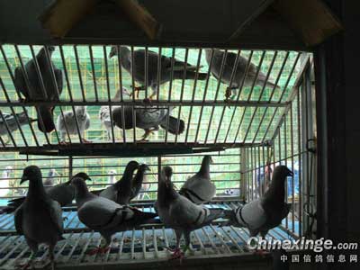 Ϊ������ ��������ҷɲ�����(ͼ)