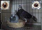 ��ڴ�������ô����