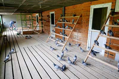 �����ٸ�԰���˱����ƽ�����ռ��(ͼ)