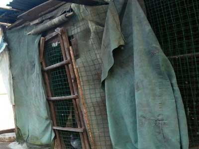 ������ª�������Щ��(ͼ)