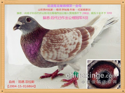 ��ʦ���Һ����Ʒ ʮ��������������(ͼ)