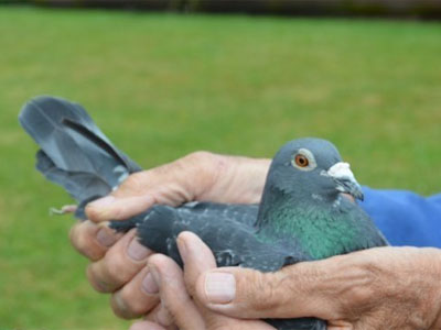 ���չ鳤������������ʱ���𸣹ھ�����(ͼ)