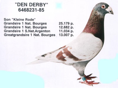 ÿ��һ�룺��������ŷ�޵Ĵ����롰�رȺš�