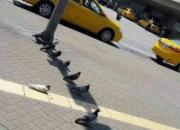 һ�Ÿ���ͼ�����������ж���(ͼ)