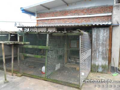 �𿴰����� �����ǳ��ھ�(ͼ)