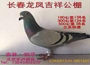 ��η�ֹ���ӿ�ǻ��񥣿(ͼ)