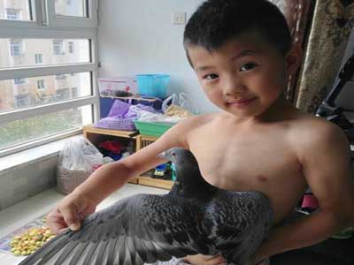 ��̨���� ȫ��֧�ֲ�����(ͼ)