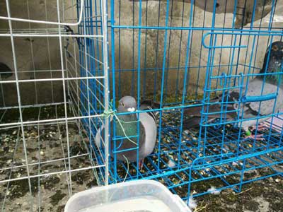 ��ѧ�����Ҷ�¥���� Ϊ�˰���ƴ��(ͼ)