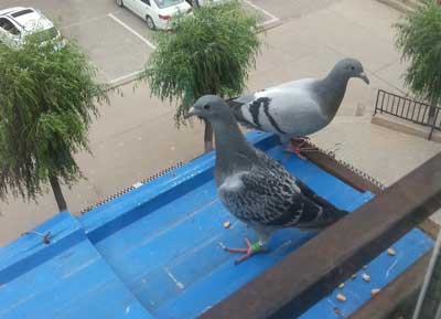 ��ʹ ����ֿ���ҷ�����������δ��(ͼ)