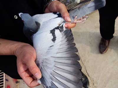 ר���������ݶ�ʢ����ھ���ʤ��