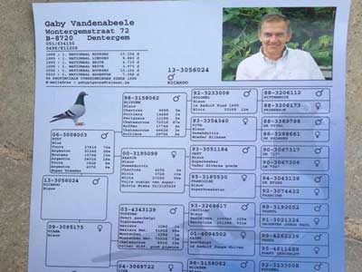 ���������У�����ʱͼ�չ�����13426���ѷŷ�(ͼ)