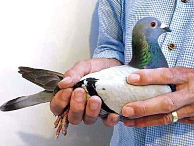 �����Ǿ���NPO������ ��ƿ��ٴ��ݱ�(ͼ)