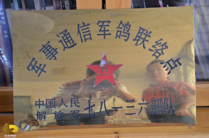 ר������������̳����ʦ����(ͼ)