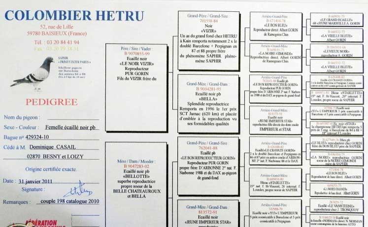 ŷ�޲�Ʒ�ɸ����ھ���¯ ������ɱ����(ͼ)