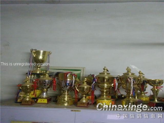 ������ס�¸��� �ɼ�����ǰ�ö�����(ͼ)