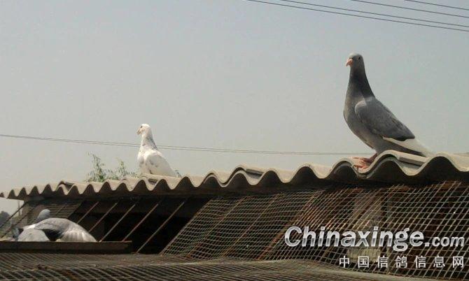 ��ש������Ҵ�ѧ��������(ͼ)