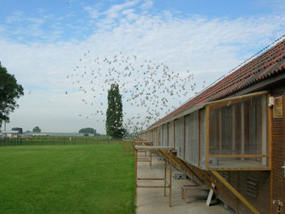 ����ʱ��Ӣ��������� �й����Ѷ�6��