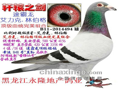 ��������¡��ҵ�ٰ�����������(ͼ)