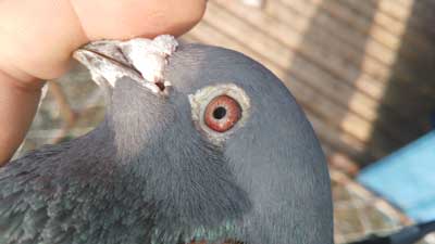 ���񿴹������������ô�ˣ�(ͼ)