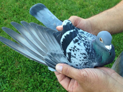 �������ǰ���ǧ���ﵱ�չ�4�� �ھ�����