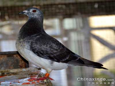 2016���ռ�Ӱ(ͼ)