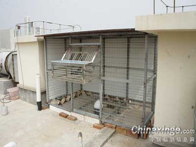 ͣ��ʮ��ع� ��������Ʒϵ(ͼ)