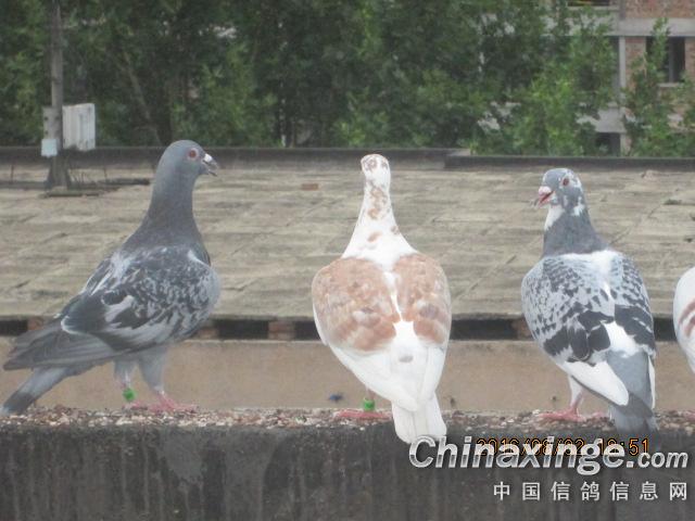 �������⻹��ª�ĸ���ô��(ͼ)