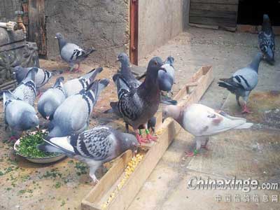 ���˸���ߴ��� �ҵĸ�����ª��(ͼ)