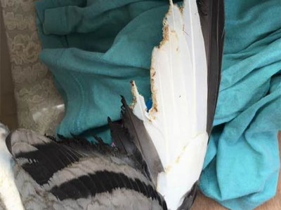 ���������㾭����ɶ����