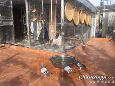 �����Ľ����� ��Ǯ����(ͼ)