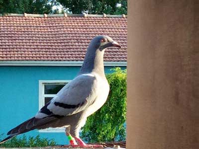 ��ʦ���� ��ʰ�ɺ� Ĩ������������(ͼ)