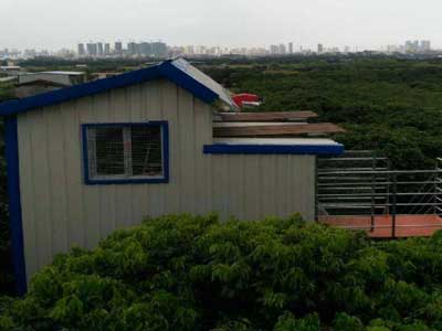 ������Ļ�巿����(ͼ)