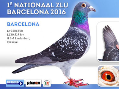 ŷ�޹��������� �����¶�������ʹھ�(һ)