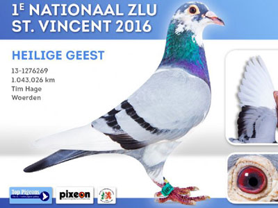 ŷ�޹��������� �����¶�������ʹھ�(��)