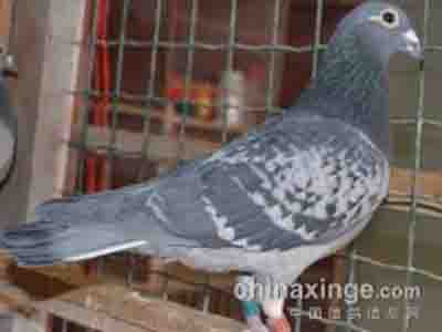 ��������1+1��ô�򵥣�