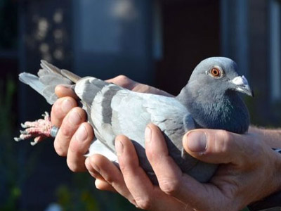 ����ʱ�Ǿ��٢����������27281��    