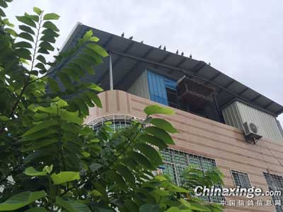 �������Ʒ�����������������ʵ��(ͼ)