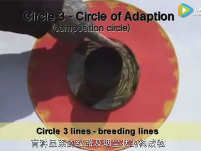 ��Ƶ��˭˵���ⲻ�����۵ģ�