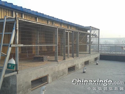 �۶��Լ�¥�������� ����Χ��(ͼ)