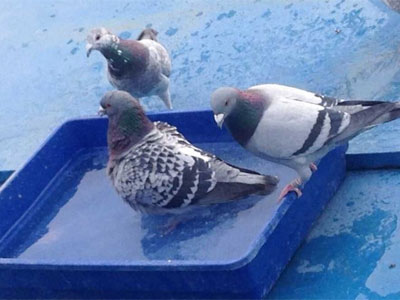 ����ϴ�����ʱ��