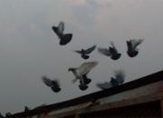 �ҷ����� ѵ��Ҫ��