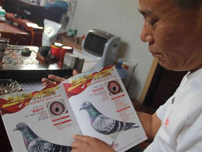 ̽Ѱ������ܸ�ҵ�������������