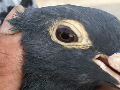 ����һ����������� ��������(ͼ)