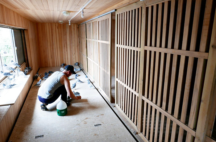 ר�ñ��������������� ���������(ͼ)