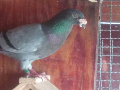 12������������ ����Ϭ��(ͼ)