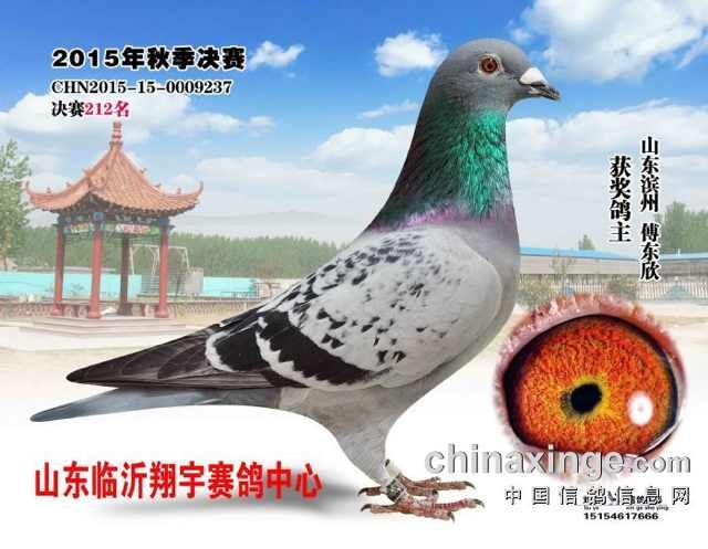 �ҵ�������ʦ������