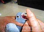 �벡�����İ˴�;��
